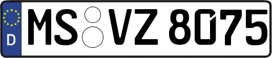 MS-VZ8075