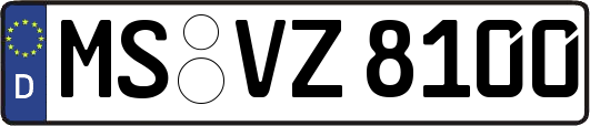 MS-VZ8100