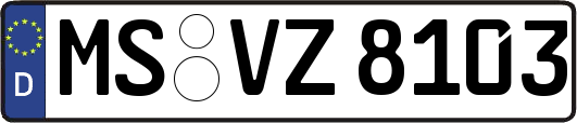 MS-VZ8103