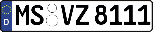 MS-VZ8111