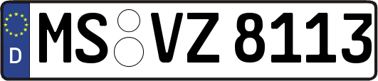 MS-VZ8113