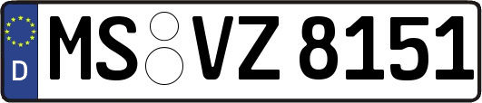 MS-VZ8151