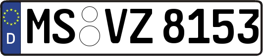 MS-VZ8153