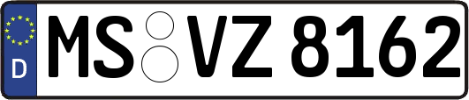 MS-VZ8162