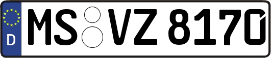 MS-VZ8170