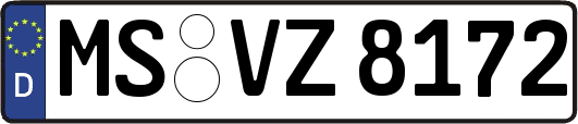 MS-VZ8172