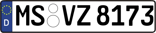 MS-VZ8173