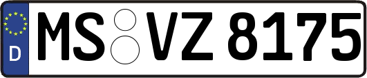 MS-VZ8175