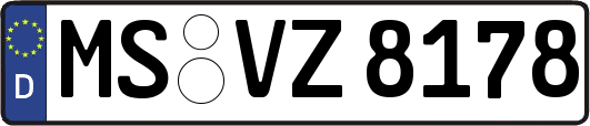 MS-VZ8178