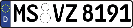 MS-VZ8191