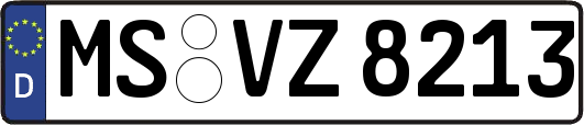 MS-VZ8213