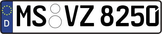 MS-VZ8250