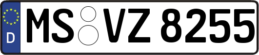 MS-VZ8255