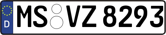 MS-VZ8293