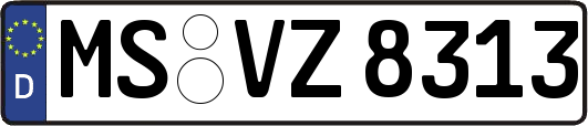 MS-VZ8313
