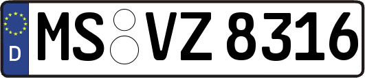 MS-VZ8316