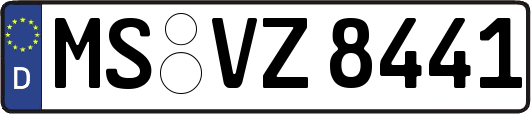 MS-VZ8441