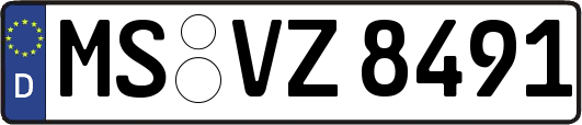 MS-VZ8491