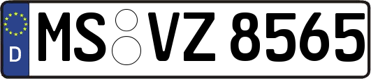 MS-VZ8565