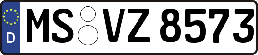 MS-VZ8573