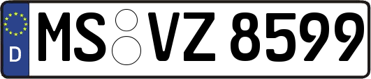 MS-VZ8599