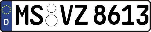 MS-VZ8613