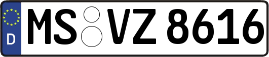 MS-VZ8616