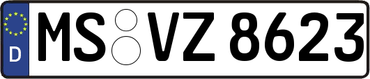MS-VZ8623
