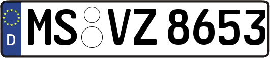 MS-VZ8653
