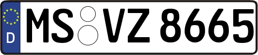 MS-VZ8665