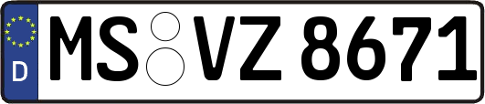 MS-VZ8671