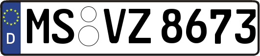 MS-VZ8673