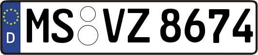 MS-VZ8674