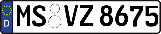 MS-VZ8675