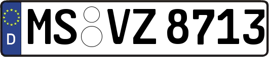 MS-VZ8713