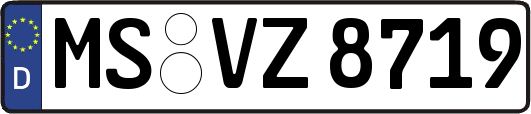 MS-VZ8719