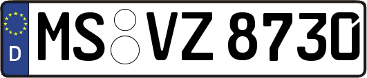 MS-VZ8730