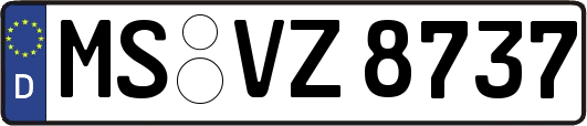 MS-VZ8737