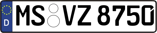 MS-VZ8750