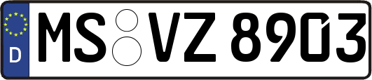 MS-VZ8903