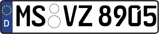 MS-VZ8905