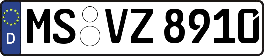MS-VZ8910