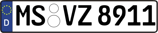 MS-VZ8911