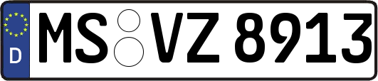 MS-VZ8913