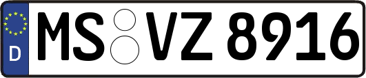 MS-VZ8916