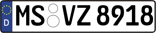 MS-VZ8918