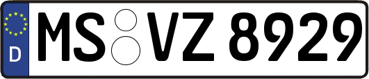 MS-VZ8929
