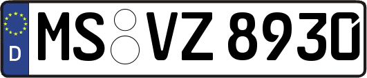 MS-VZ8930