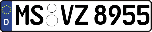 MS-VZ8955