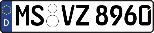 MS-VZ8960
